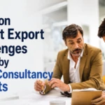 Common Import Export Challenges Solved by DGFT Consultancy Experts