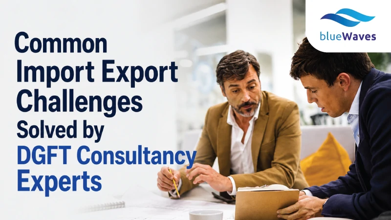 Common Import Export Challenges Solved by DGFT Consultancy Experts